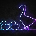Stephen_95498