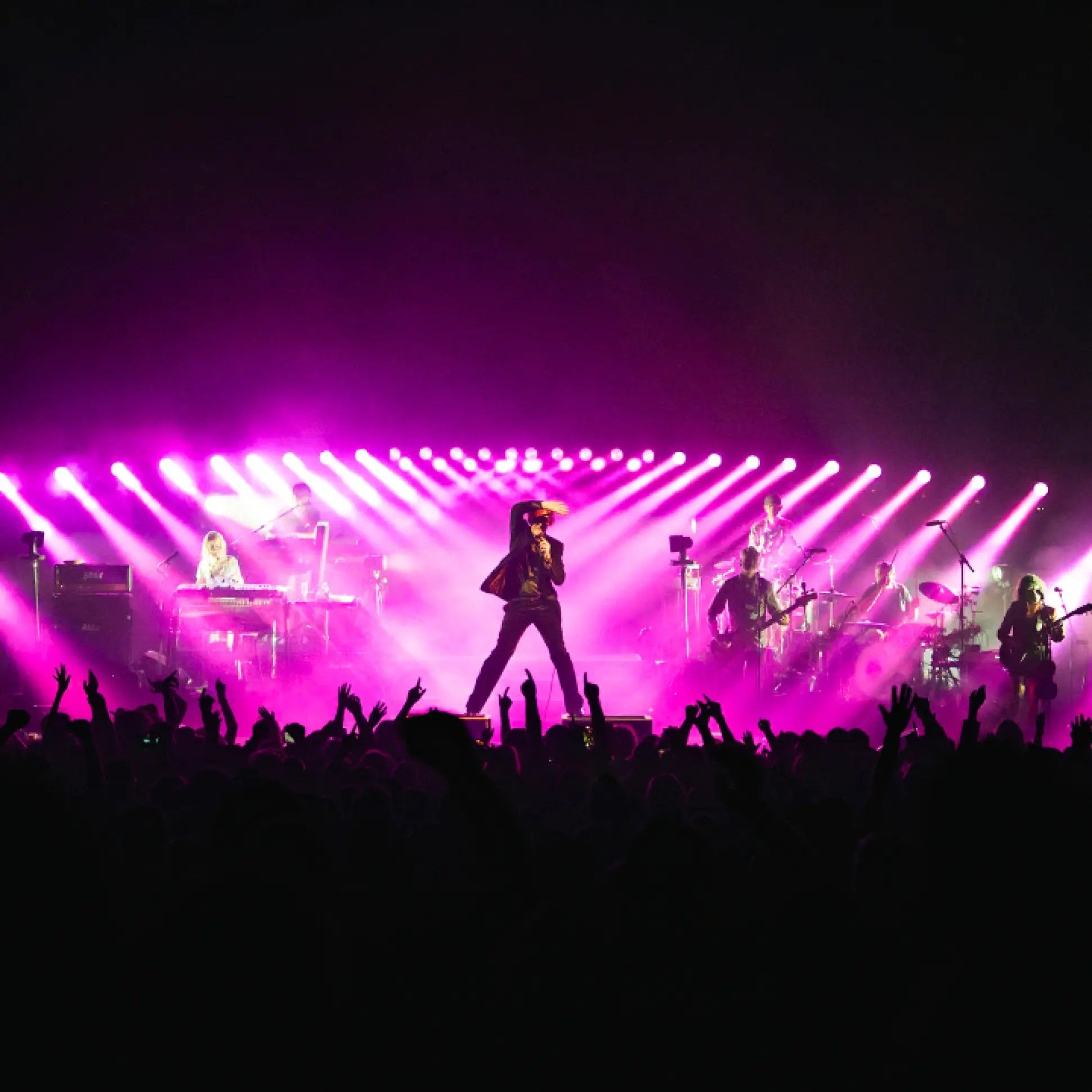 Pulp_(720x720px)_webp_e087d98c2a4d38156b8a8c372533bad9.jpg