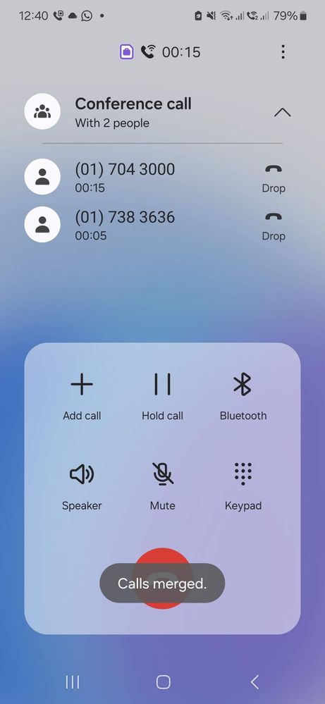 Screenshot_20250520_124054_Call.jpg