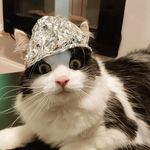 DobbyDobberson
